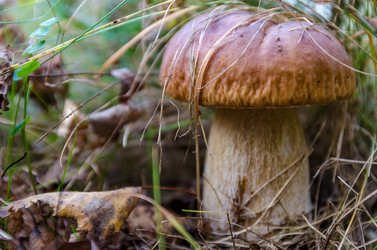 Similar image 11910498