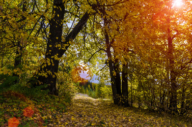 Similar image 11910499