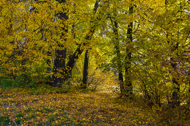 Similar image 11910500