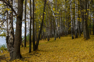 Similar image 11910512