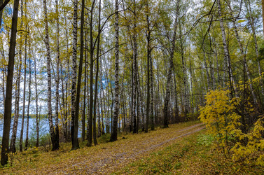 Similar image 11910513