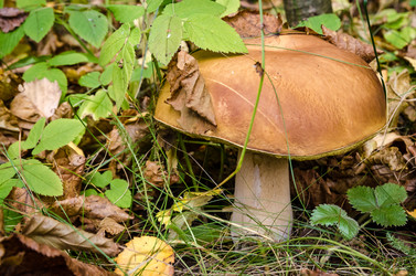 Similar image 11910514