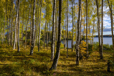 Similar image 11910517