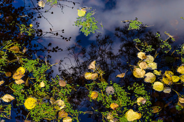 Similar image 11910518