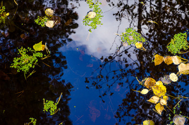 Similar image 11910519