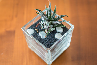 Similar image 11910561