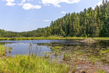 Similar image 11910401