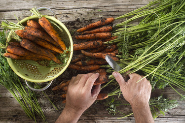 Similar image 11924670