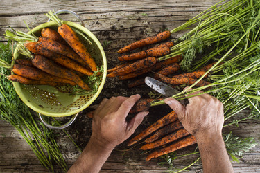 Similar image 11924672