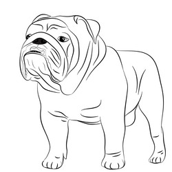 Similar image 11910391