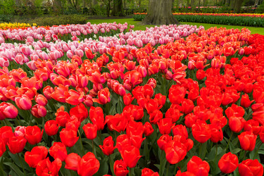 Similar image 11912424