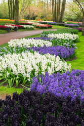 Similar image 11912425