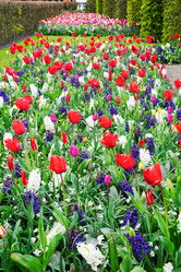 Similar image 11912427