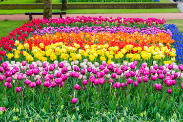 Similar image 11912447