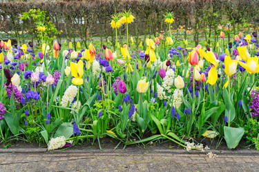 Similar image 11912448