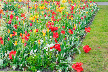 Similar image 11912486