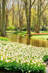 Similar image 11913052