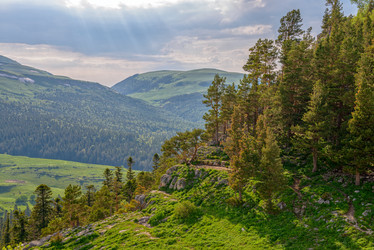 Similar image 11917011