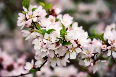 Similar image 11911492