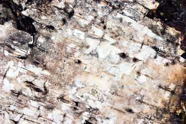 Similar image 11911929