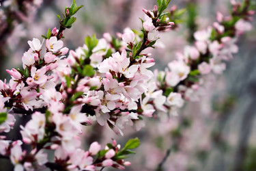 Similar image 11911947