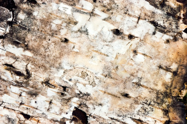 Similar image 11911948