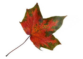 Similar image 11912024