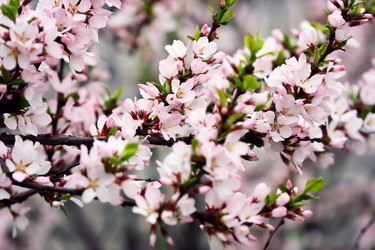 Similar image 11911952