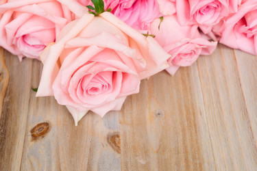 Similar image 11913136