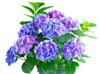 Similar image 11913414