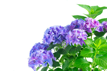 Similar image 11913416