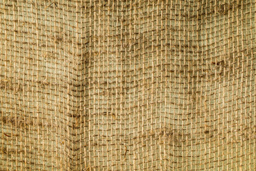 Similar image 11910475