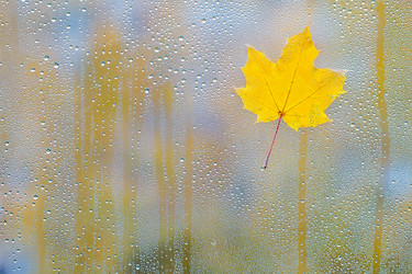 Similar image 11910476