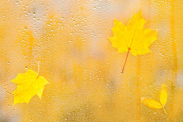 Similar image 11910477