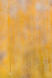 Similar image 11910478