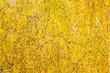 Similar image 11910479