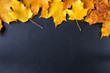 Similar image 11910480