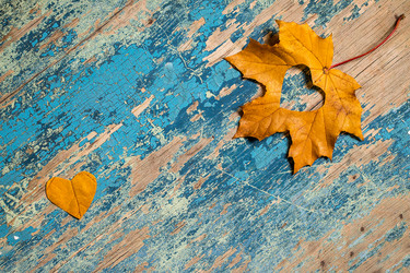 Similar image 11910482