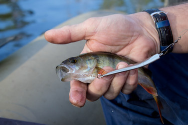 Similar image 11924538