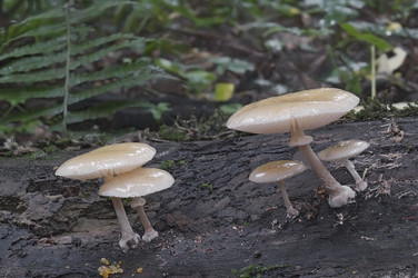 Similar image 11924542