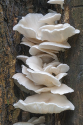 Similar image 11912882