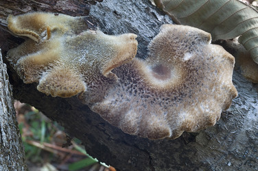 Similar image 11912888