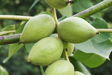 Similar image 11912889