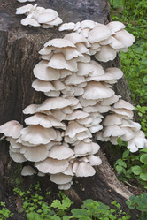 Similar image 11912890