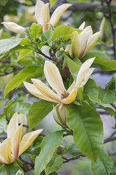 Similar image 11912892