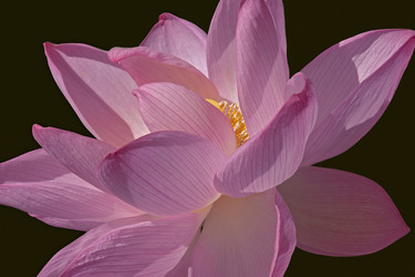 Similar image 11912893