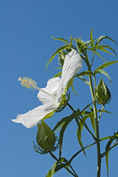 Similar image 11913220