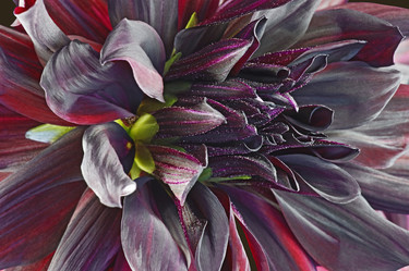 Similar image 11913361