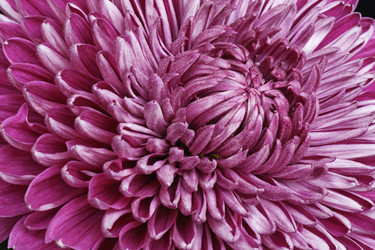 Similar image 11913362