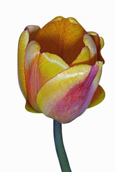 Similar image 11913363